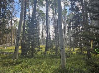 155 Aspen Trail, Cimarron, CO 81220