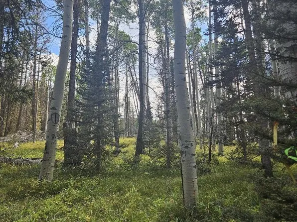 155 Aspen Trail, Cimarron, CO 81220
