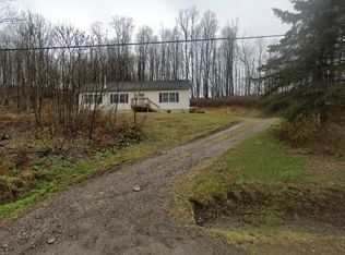 40 Lyon Rd, Hallstead, PA 18822