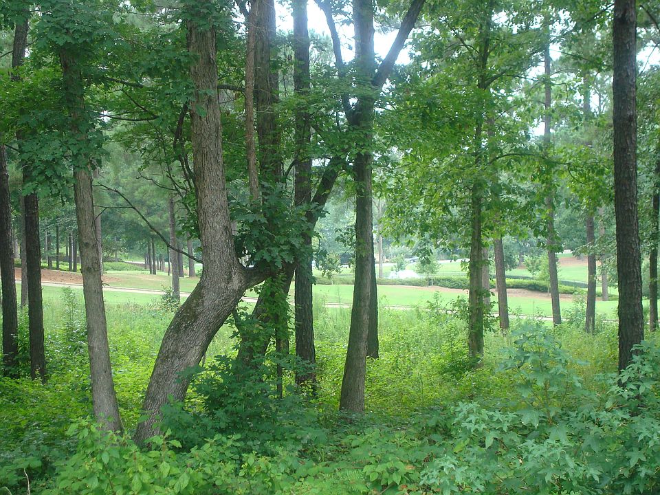 Beautiful hardwoods