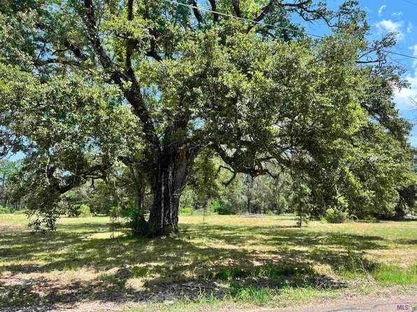 27516 Patterson Rd, Springfield, LA 70462