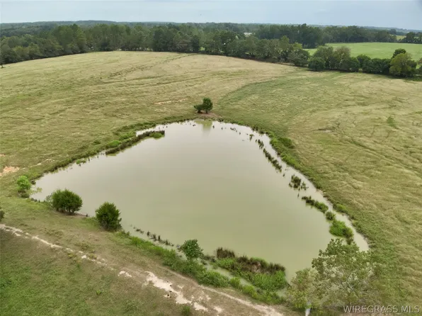 County Road 670, Samson, AL 36477