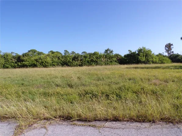 13384 Alewife Ln, Placida, FL 33946