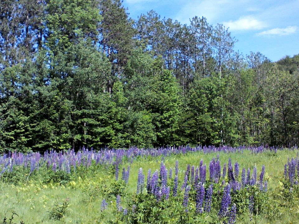 999 Pearl Lake Road, Sugar Hill, NH 03586 MLS 4950191 Zillow