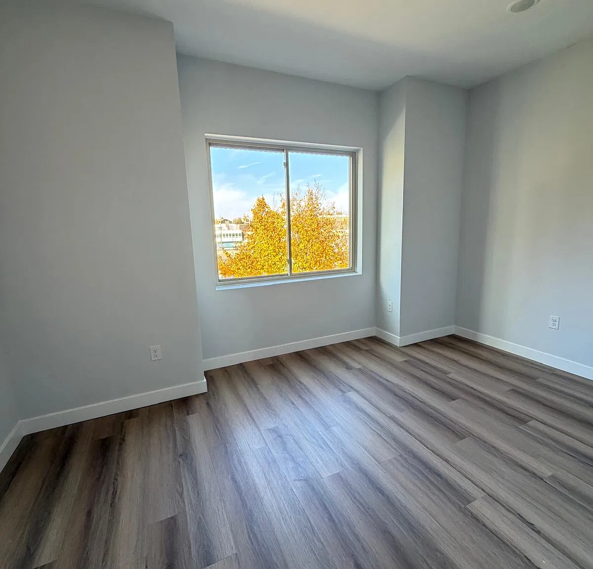 2 bed, 750 sqft, $1,750 — Photo 3