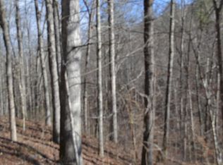 9999 Hazel Patch Rd LOT 2, East Bernstadt, KY 40729