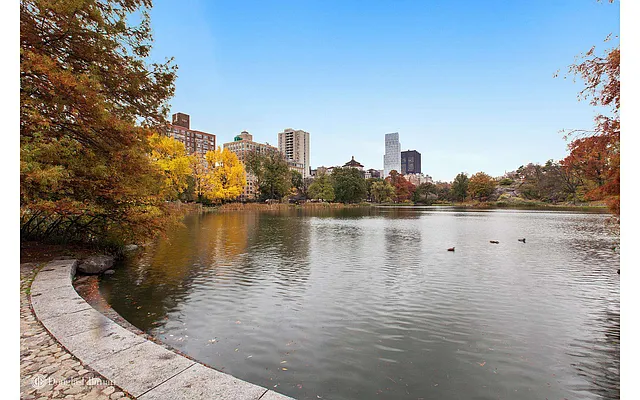 Rented by Douglas Elliman | media 9