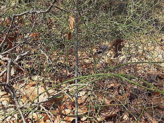 5th image of 0 E Malaga Rd