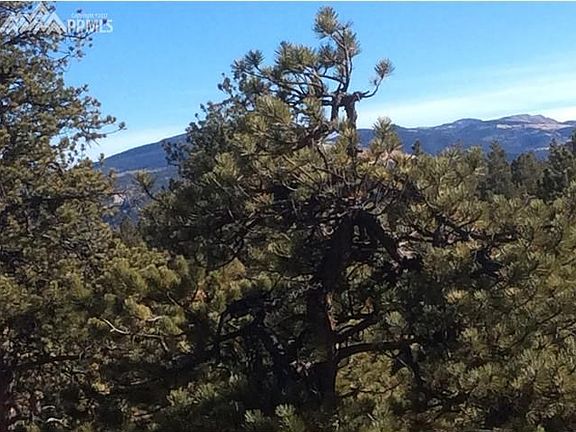 5th image of 125 Black Mesa Cir