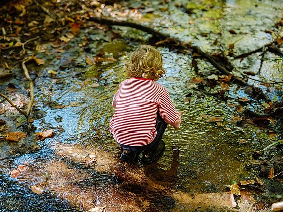 4th image of 0 Pinewood Rd Lot 107