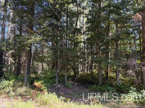 Normandy Ave, Ironwood, MI 49938