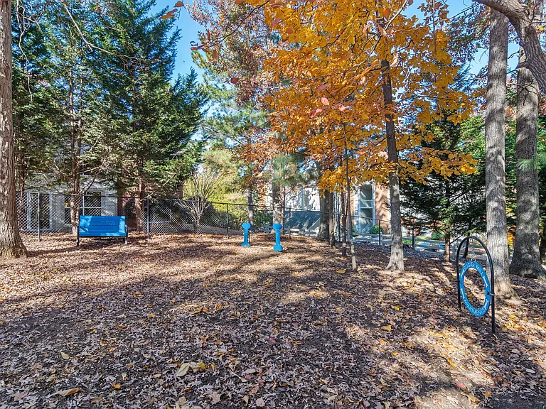 Spacious Dog Park