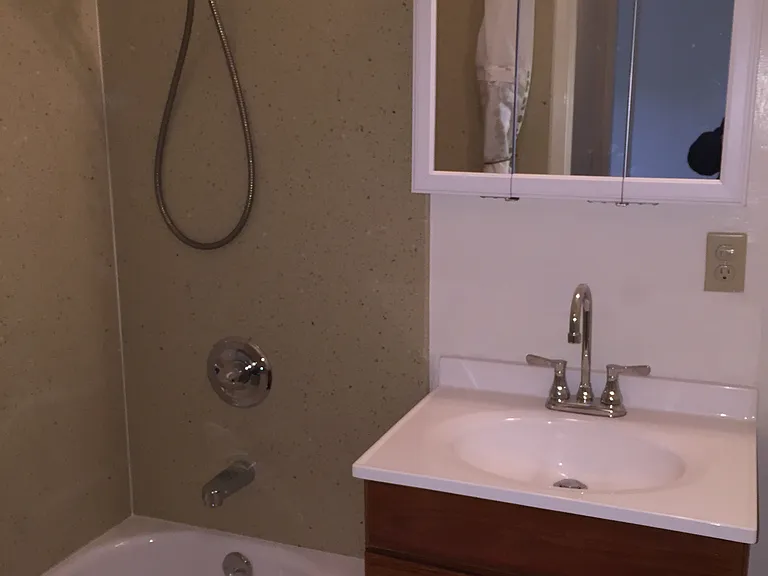 Bathroom with Shower and Bath Tub