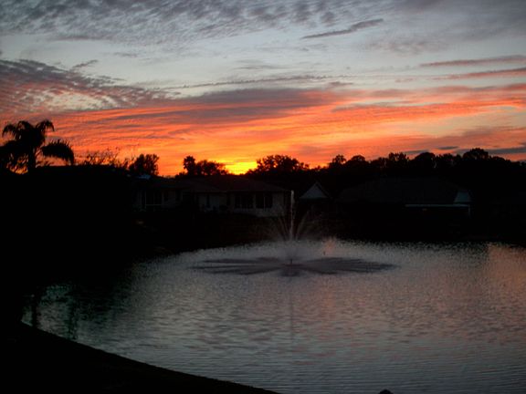 view from porch