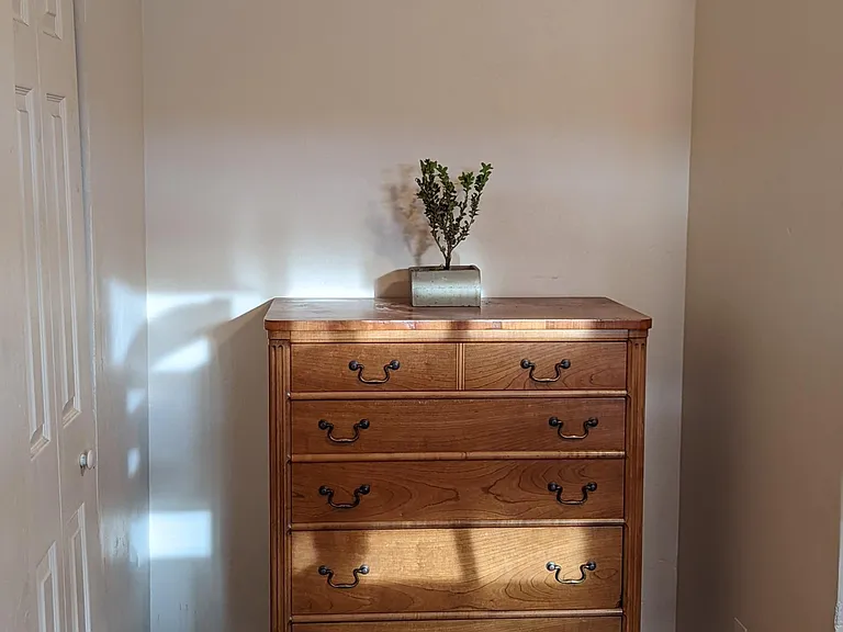 34 S Maple Ave — Photo 15