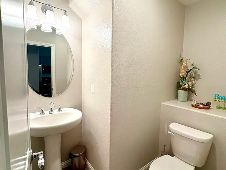 40665 Squill Cmn — Photo 20