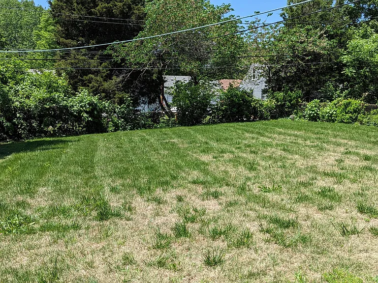 back yard