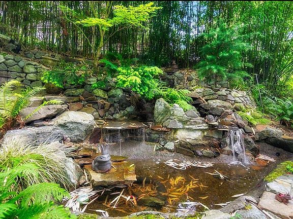 Backyard Water Feature