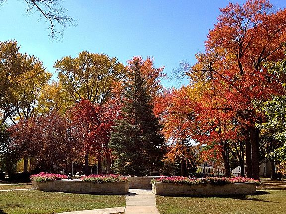 City Park (across the street from the house)