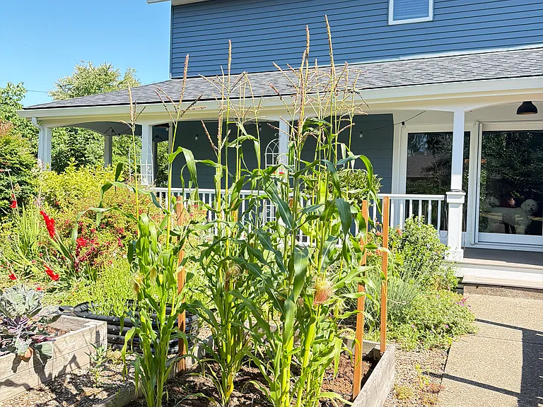 420 S Center St — Photo 16
