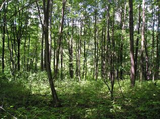 0 Thayer Rd, Hartwick, NY 13348