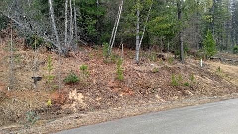 5th image of 127 Trail Blazer Ct