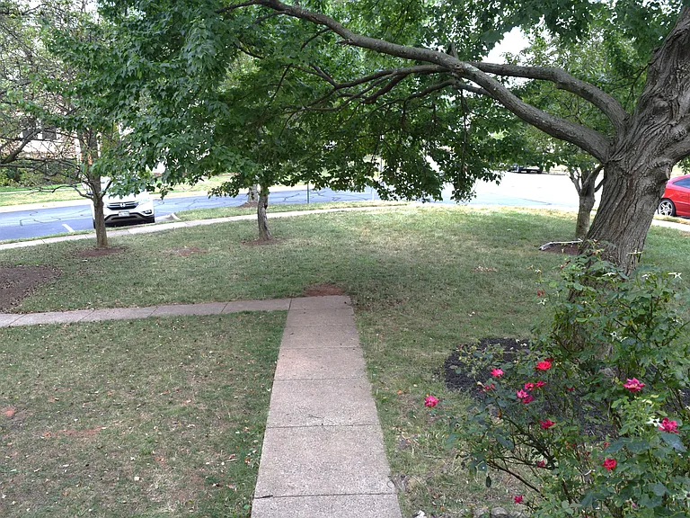 Front yard