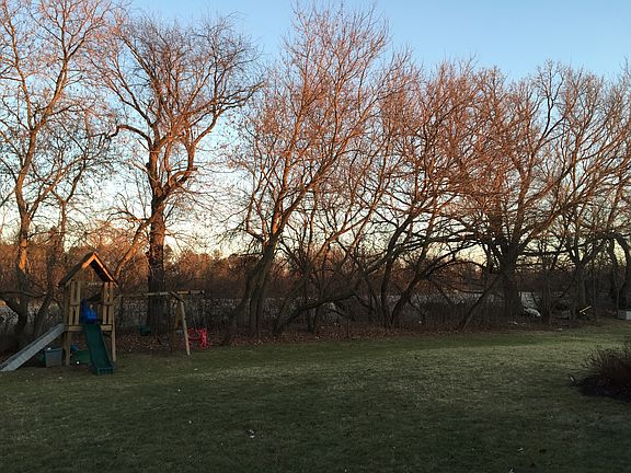 View of backyard 