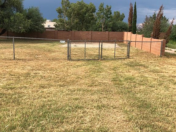back yard