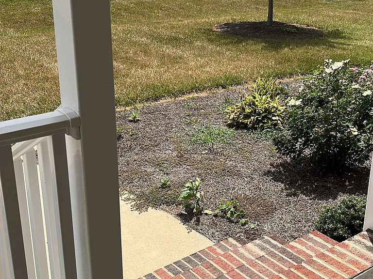 118 Portman Ln — Photo 29