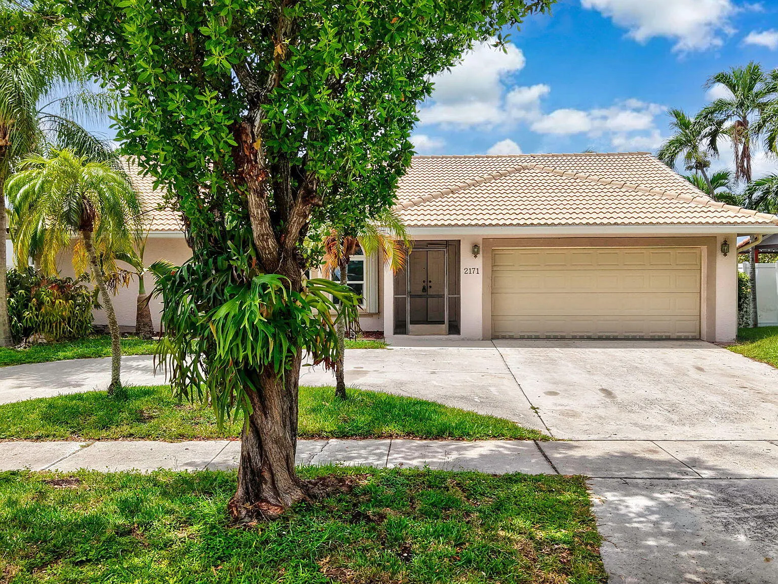 3 bed, 2.0 bath, 2236 sqft, $3,850 — Photo 2