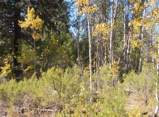 Pine Ridge Loop #194747, Chiloquin, OR 97624