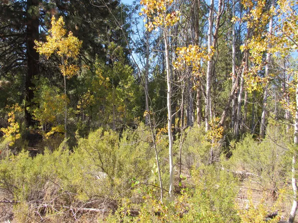 Pine Ridge Loop #194747, Chiloquin, OR 97624