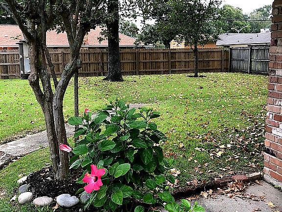 Backyard (former glory)
