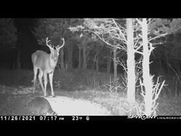 999 Naylor Rd, Owingsville, KY 40360