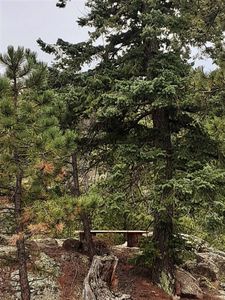 1840 Arapahoe Dr, Florissant, CO, 80816