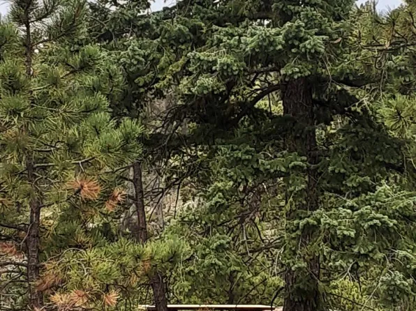 1840 Arapahoe Dr, Florissant, CO 80816