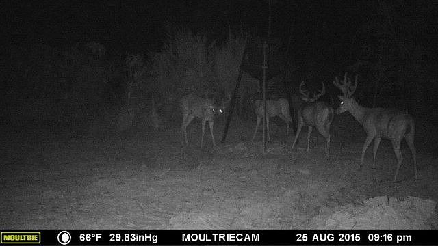 1st image of 995 Bells Ln