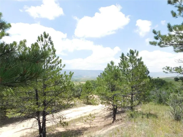 2659 Senecio Drive, Larkspur, CO 80118