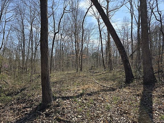 4th image of 0 Hills Creek Rd