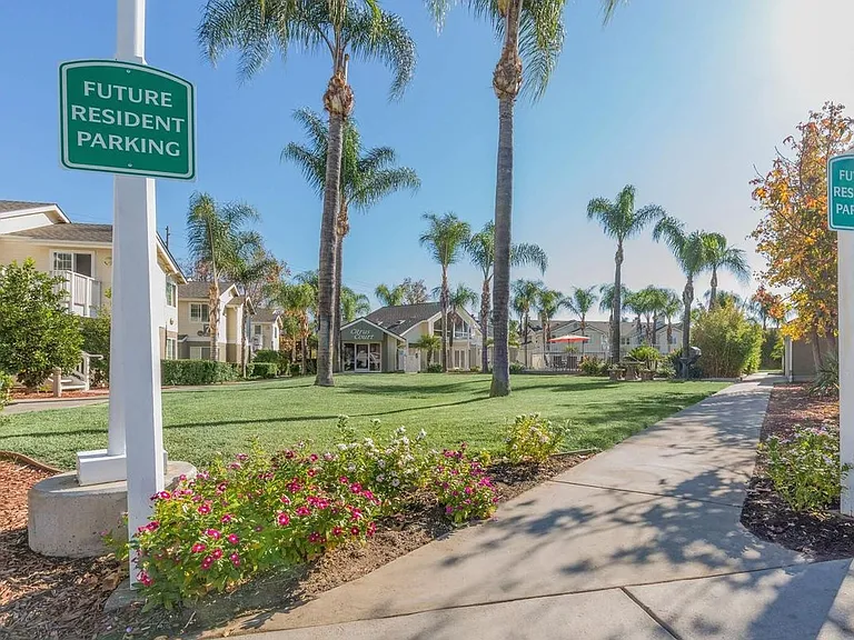 Citrus Court Apartments — Photo 11