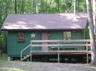 72 Beaver Hl, Campbell, NY 14821