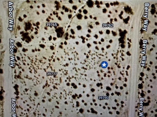 0 Berry Way #739, Salome, AZ 85348