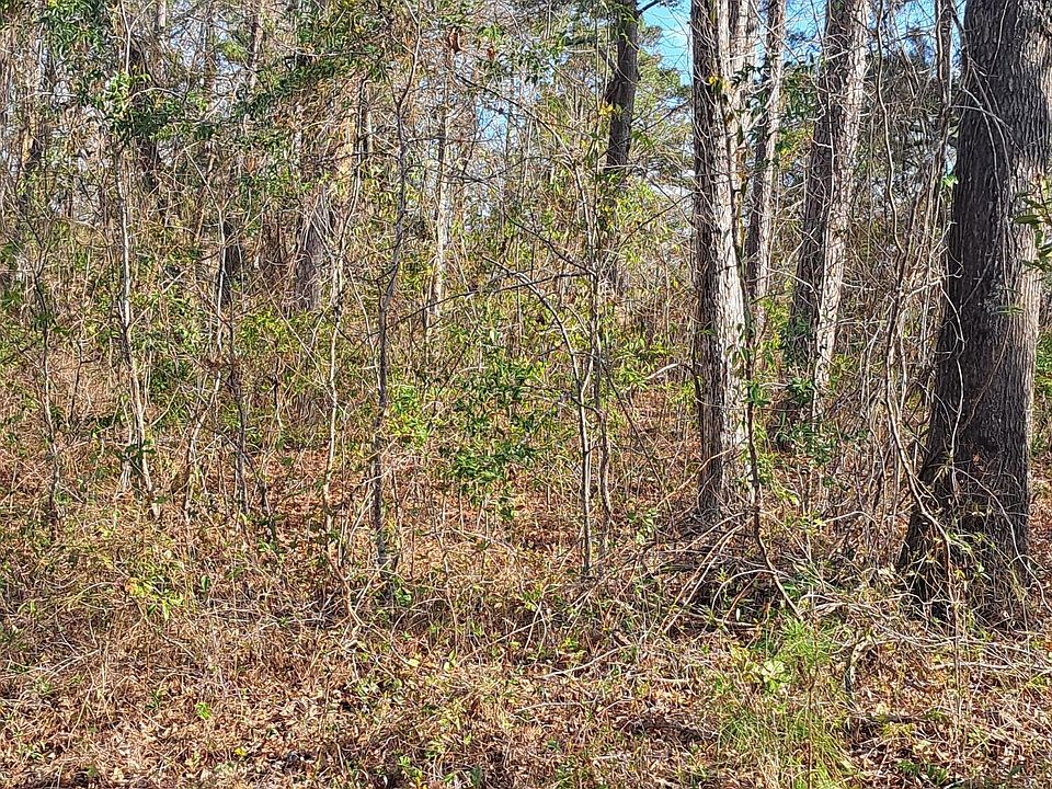 2nd image of 1 Plantation Dr