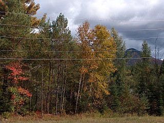 Whiteface Mtn. & pond