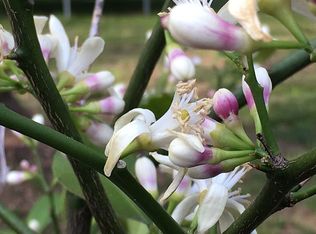 3257 Valley Rd, Basking Ridge, NJ 07920