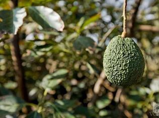 7355 Balcom Canyon Rd, Somis, CA 93066