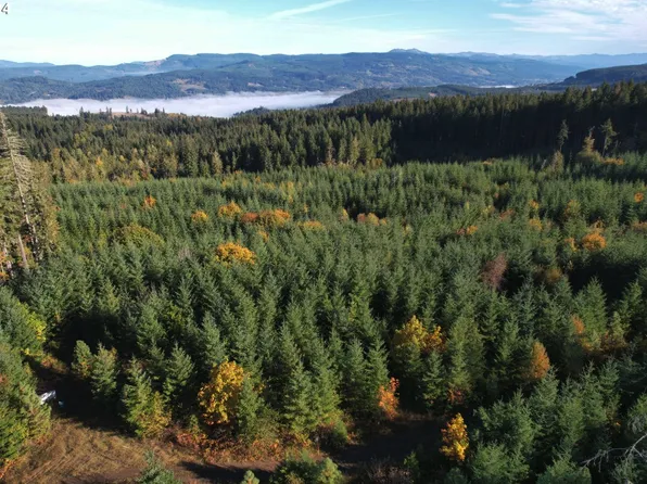 0 E Cedar Flat Rd, Springfield, OR 97478