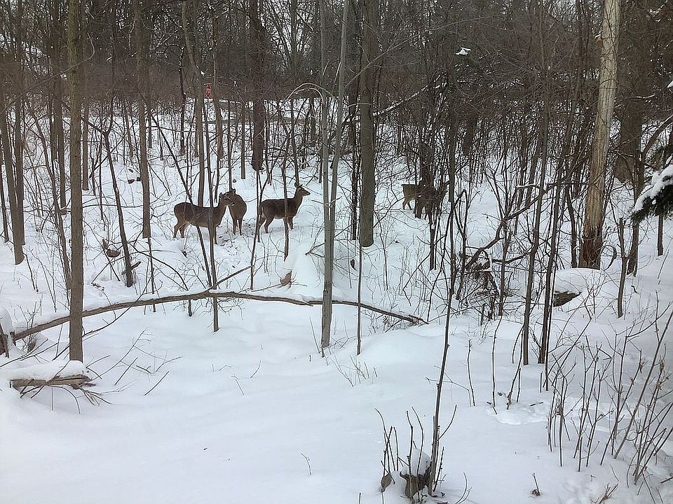 2nd image of 6070 Eastmoor Rd