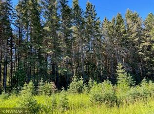 Radar Rd NW, Bemidji, MN 56601